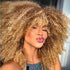 Pre-Cut Highlight Blonde Kinky Curly Wig 5x5 Gluless HD Lace Closure Wig
