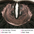 V Part Kinky Curl Wig Upgrade U Part Human Hair Wig Beginner Friendly