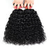 WorldNewHair 4 Bundles Water Wave Virgin Human Hair Bundles Deal