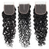 Water Wave Virgin Hair with 4x4 Lace Closure Best Virgin Human Hair