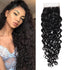 Water Wave Virgin Hair with 4x4 Lace Closure Best Virgin Human Hair