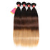 WorldNewHair 4 Bundles Ombre Colored Straight Human Virgin Hair Weaving